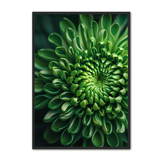 Blomster Plakat 161