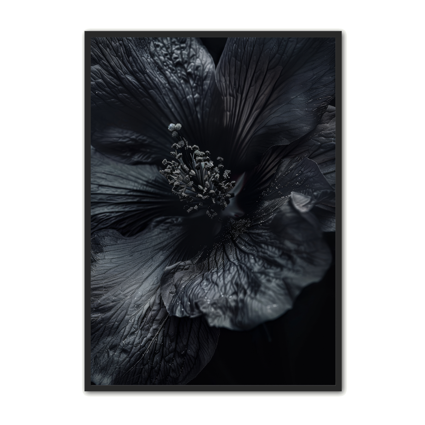 Blomster Plakat 18 - Naturplakater