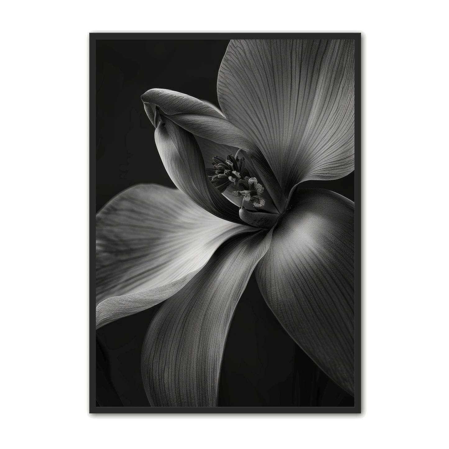 Blomster Plakat 24 - Naturplakater