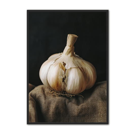 Grøntsags Plakat 10 - Hvidløg