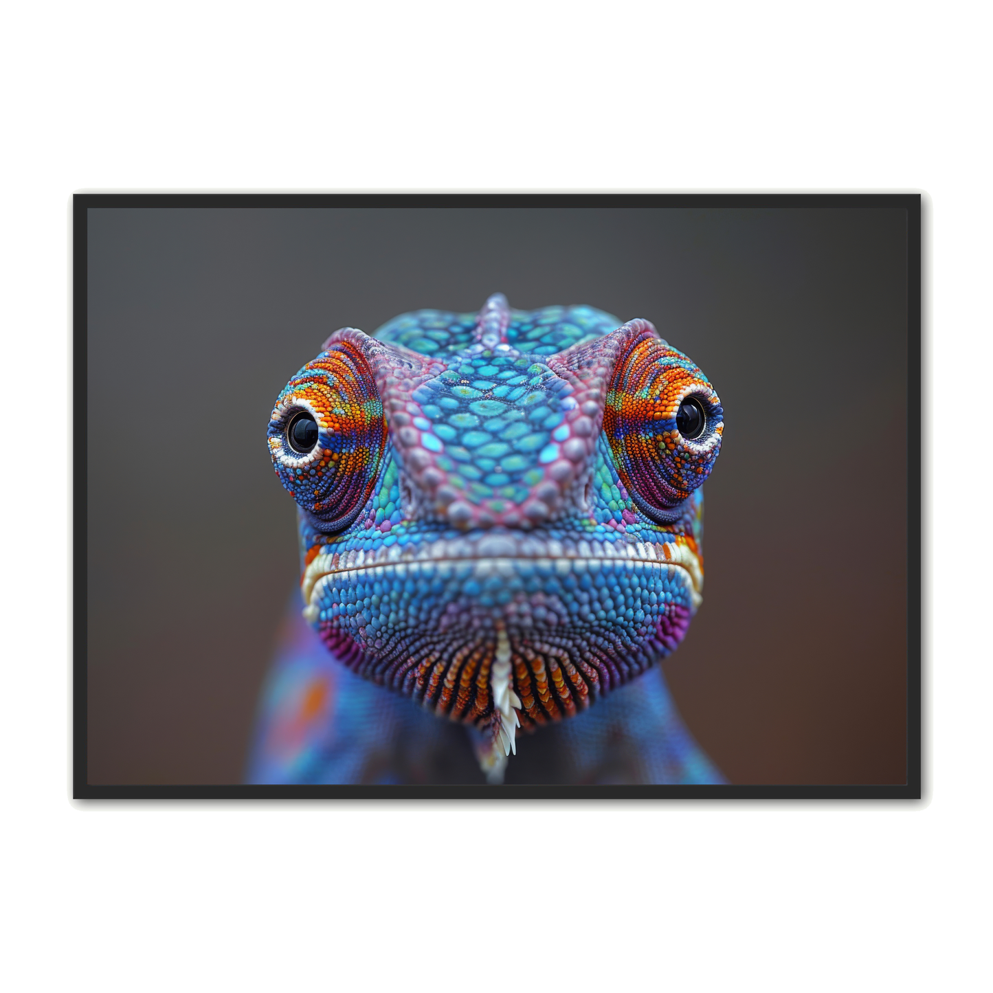 Kamæleon Plakat 5 - Dyreplakater