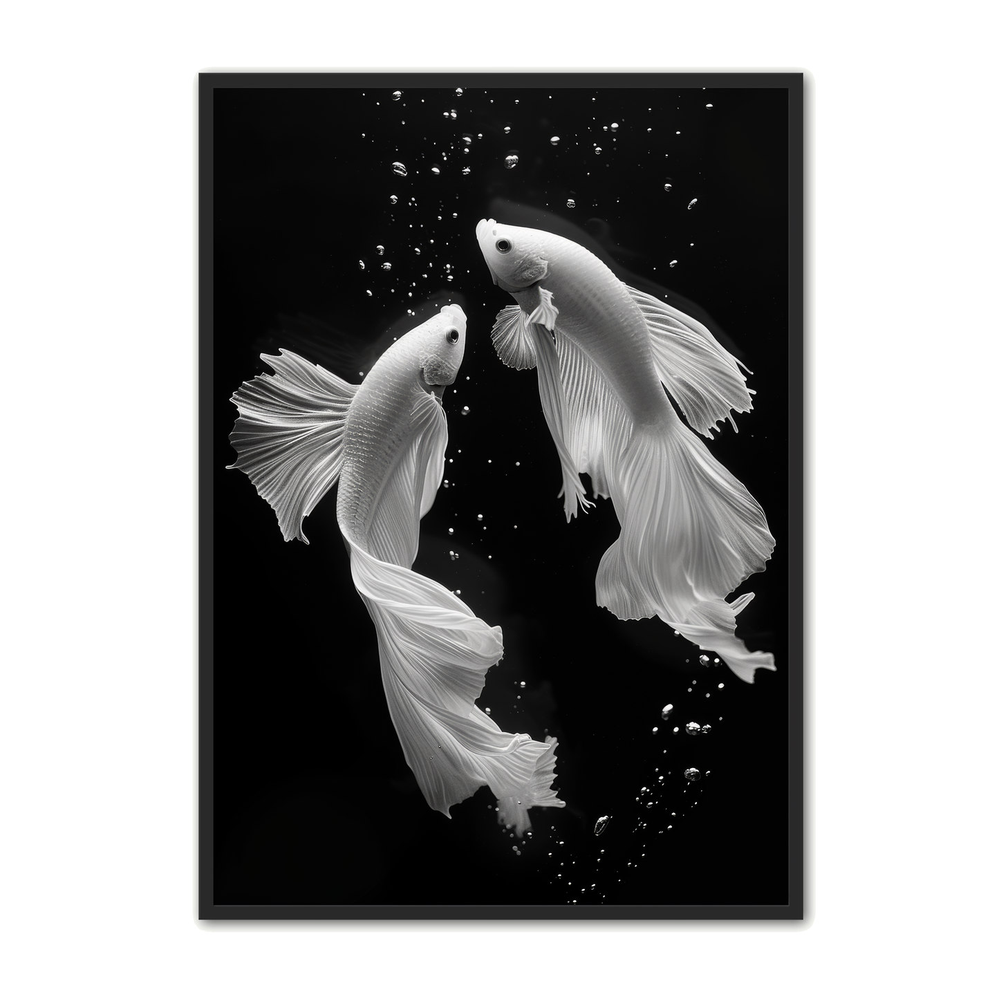 Kampfisk Plakat 4