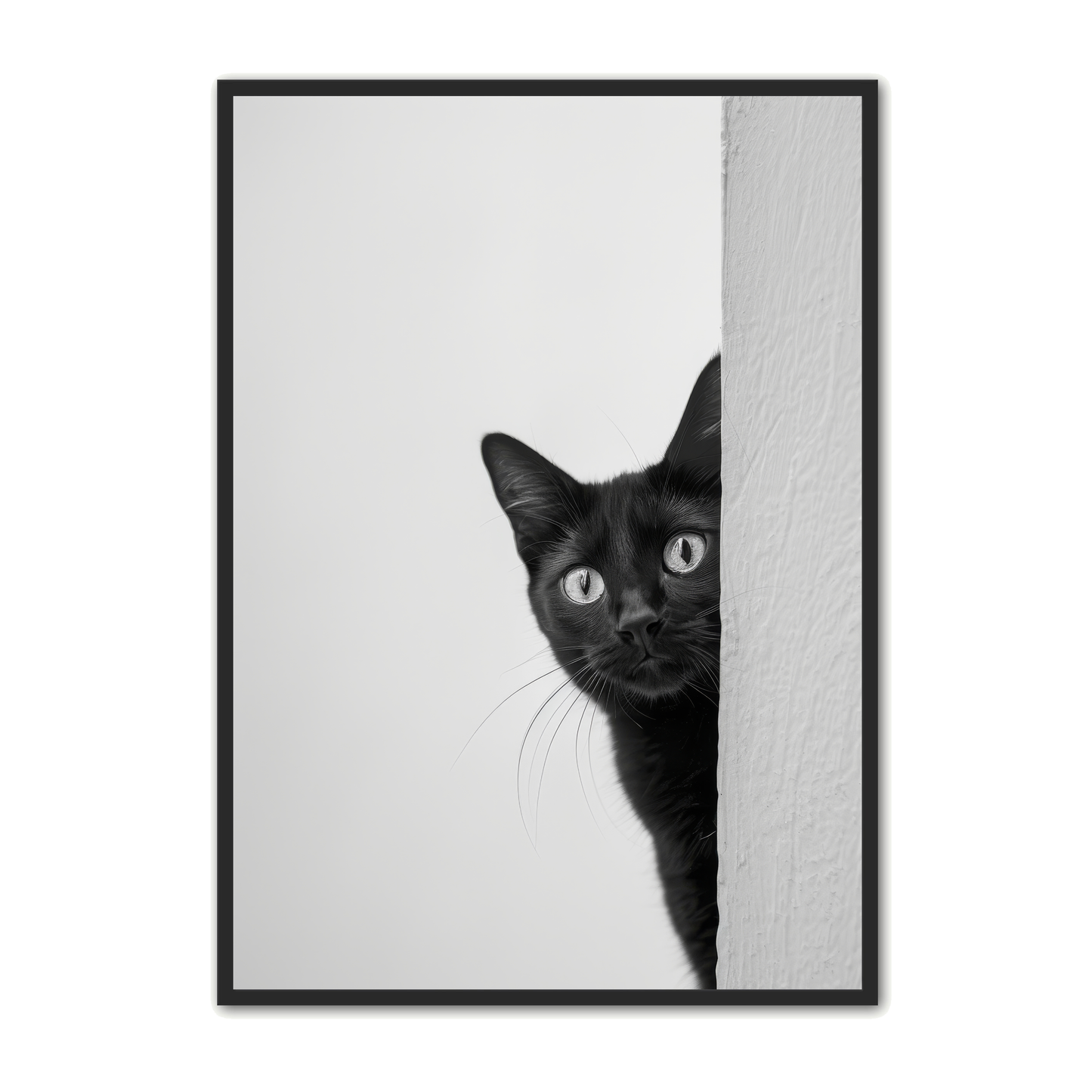 Kat Plakat 5
