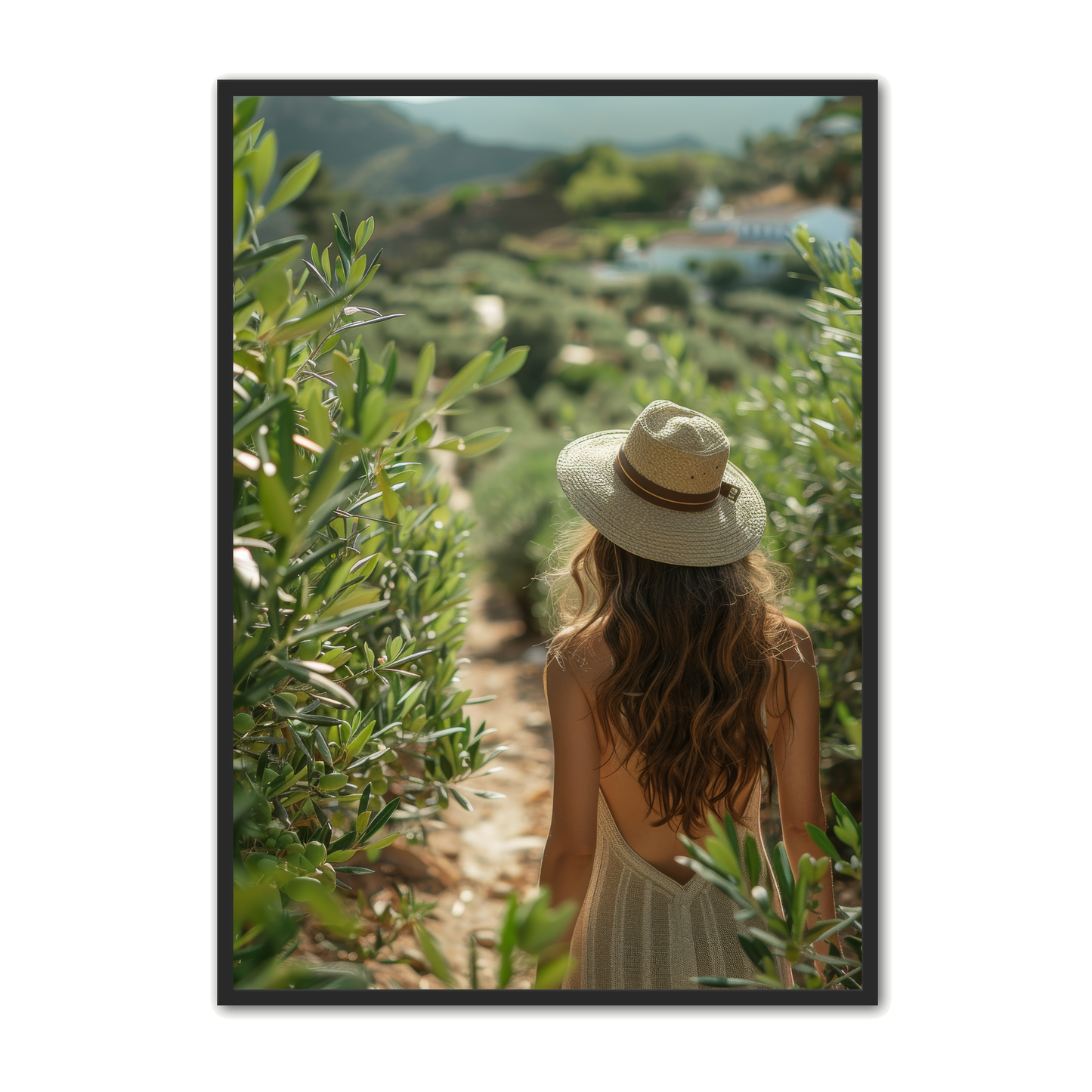 Oliven Plakat 23