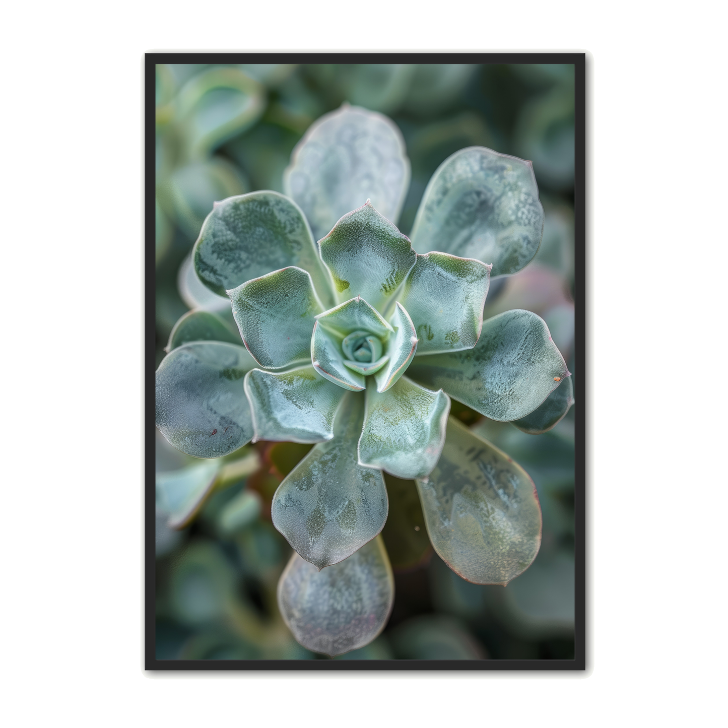 Plante Plakat 26