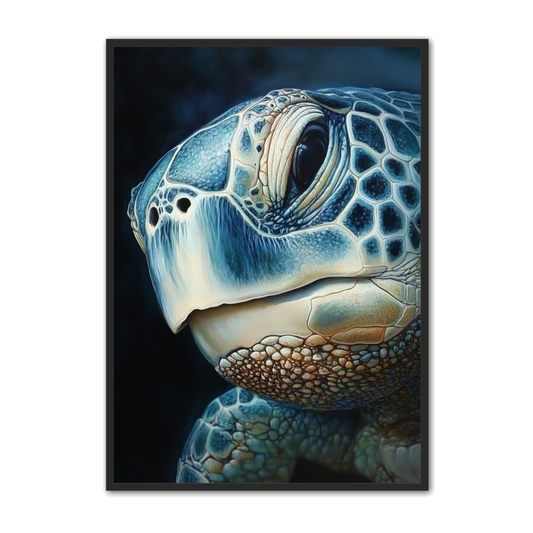 Skildpadde Plakat 10