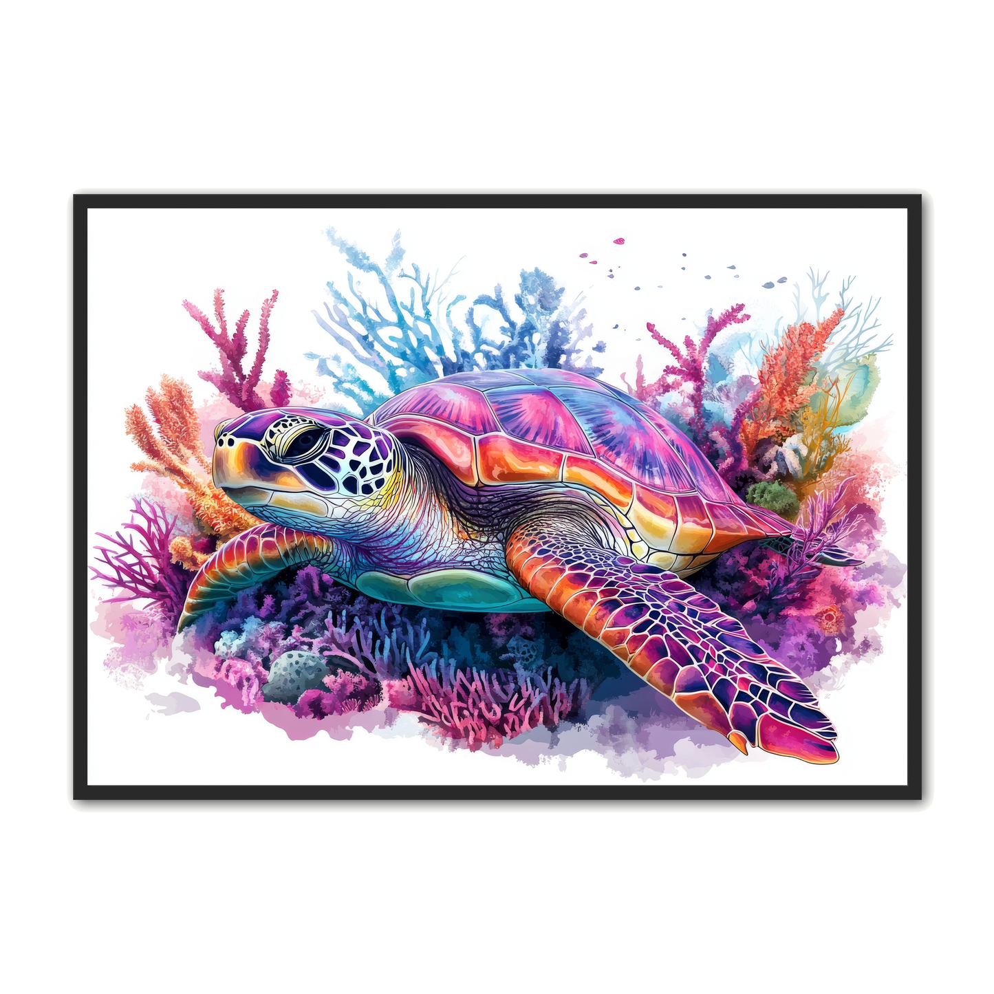 Skildpadde Plakat 3