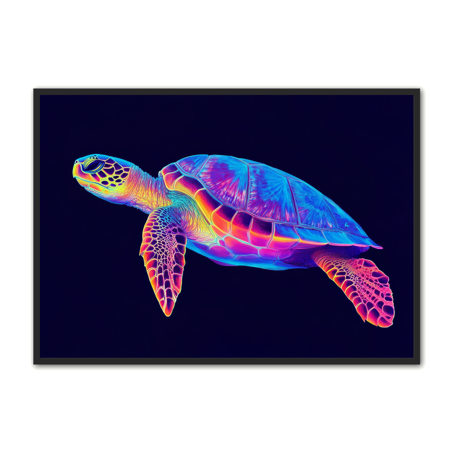 Skildpadde Plakat 7