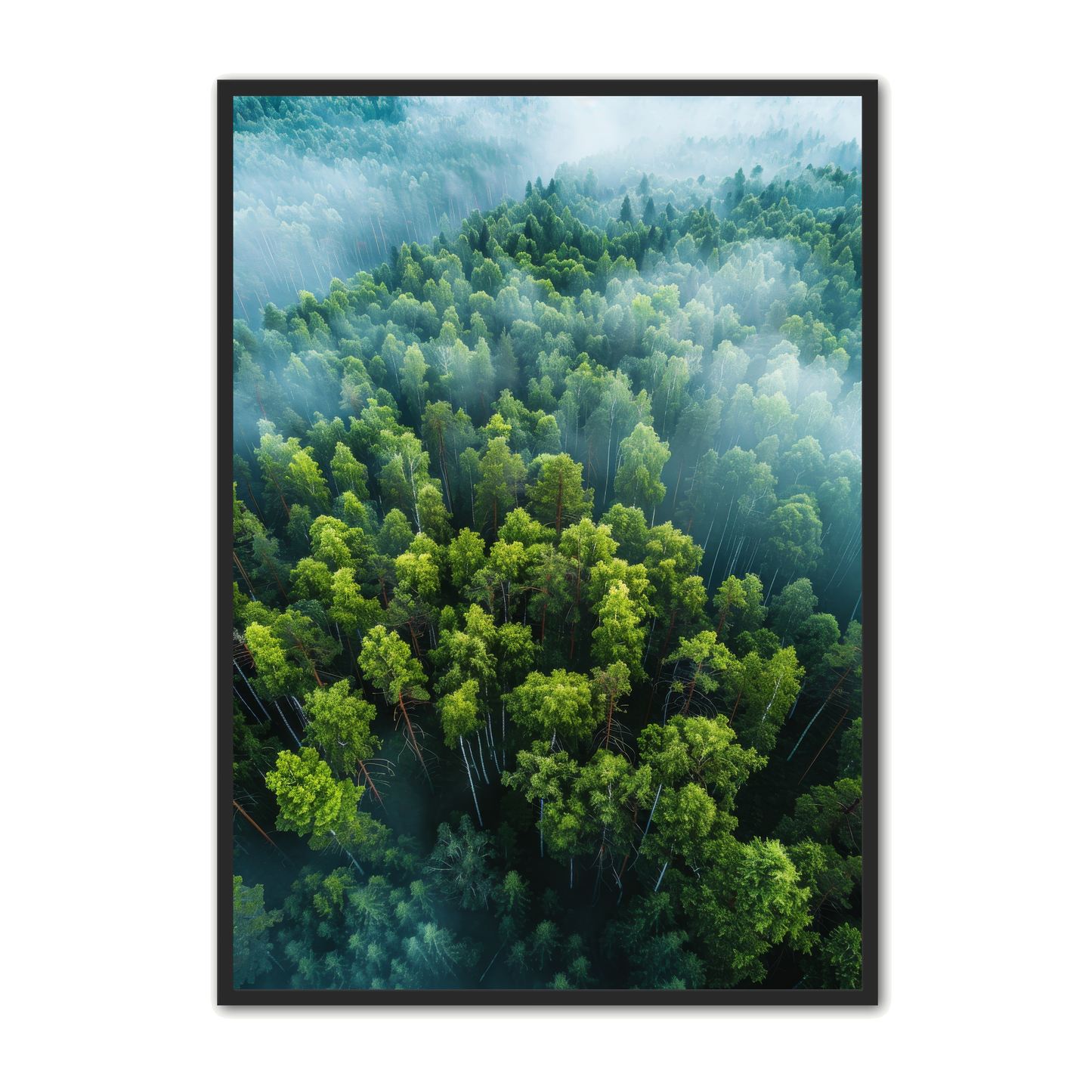 Skov Plakat 13 - Naturplakater