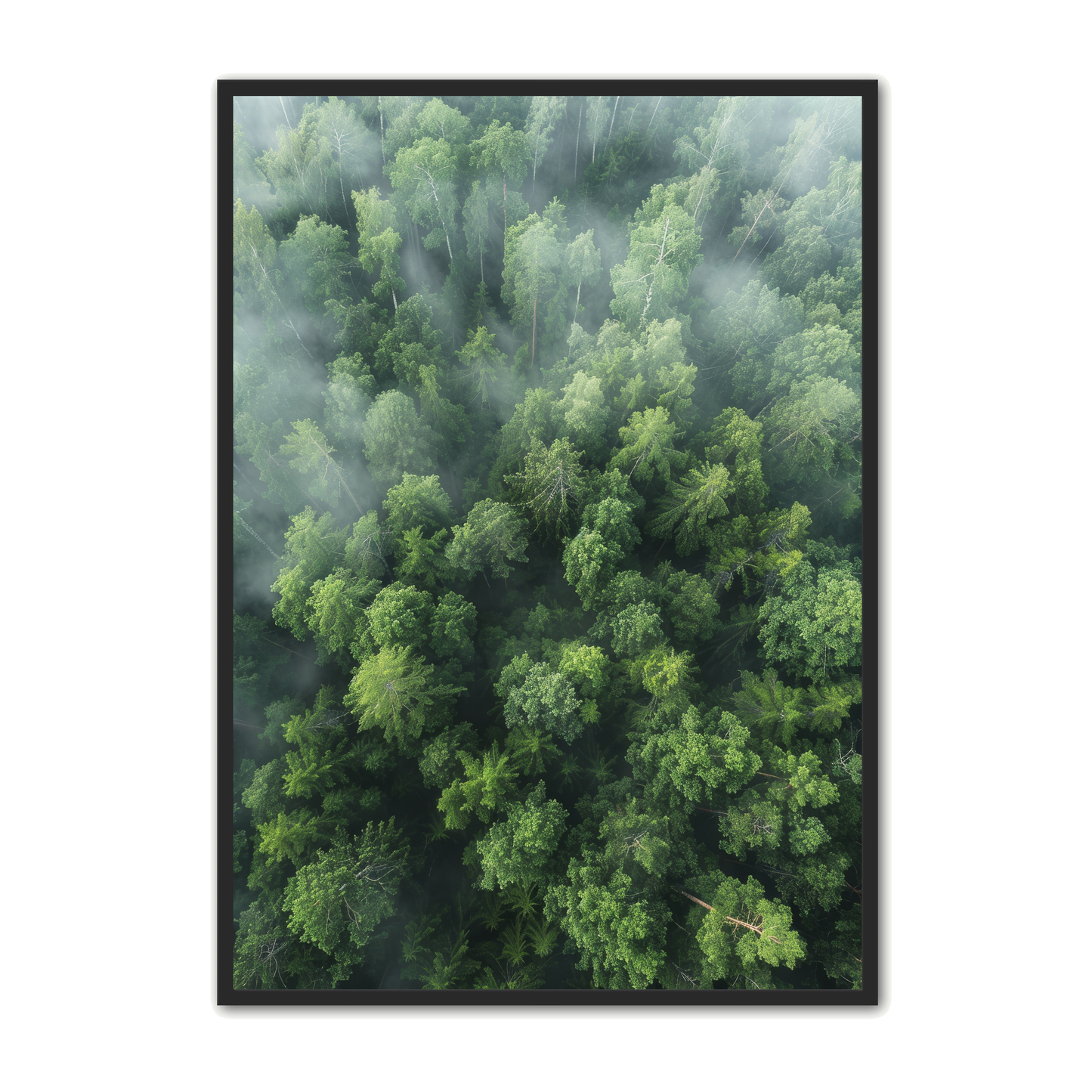 Skov Plakat 14 - Naturplakater