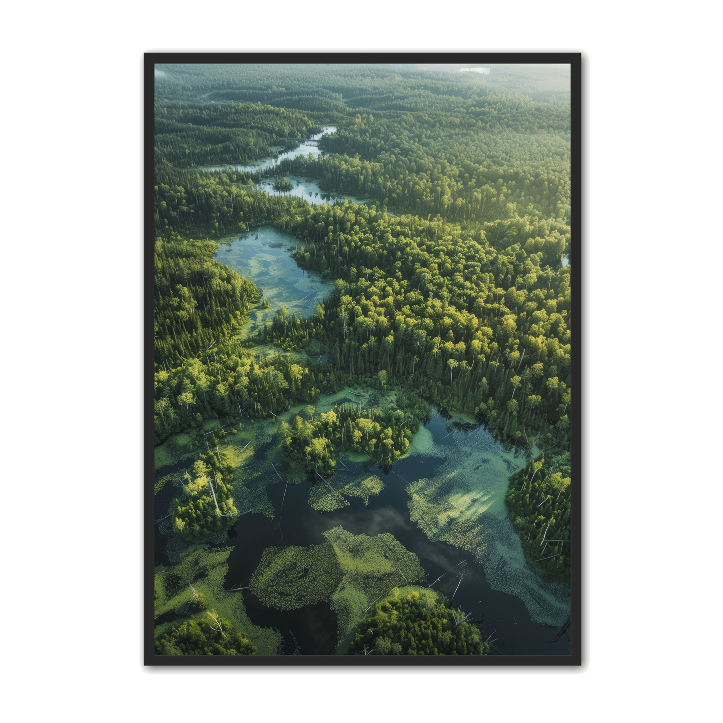 Skov Plakat 15 - Naturplakater