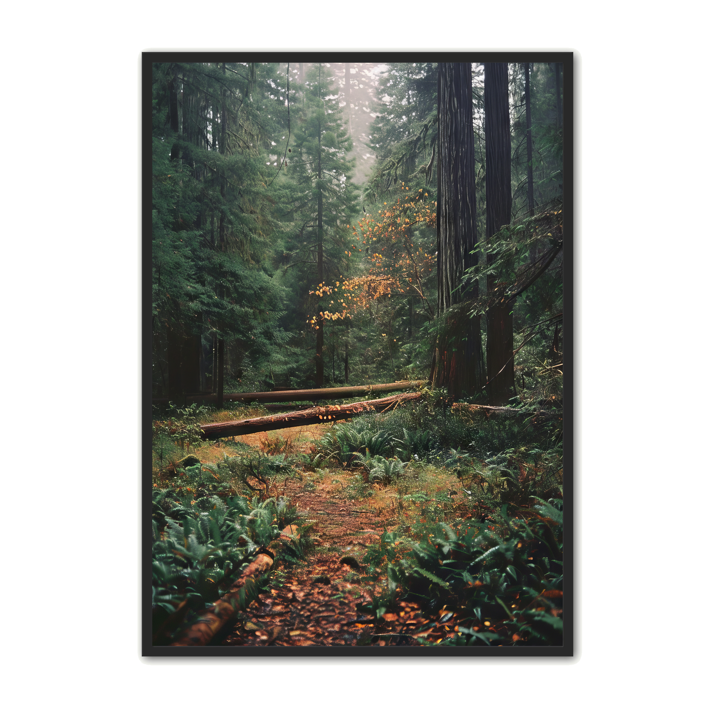Skov Plakat 19 - Naturplakater
