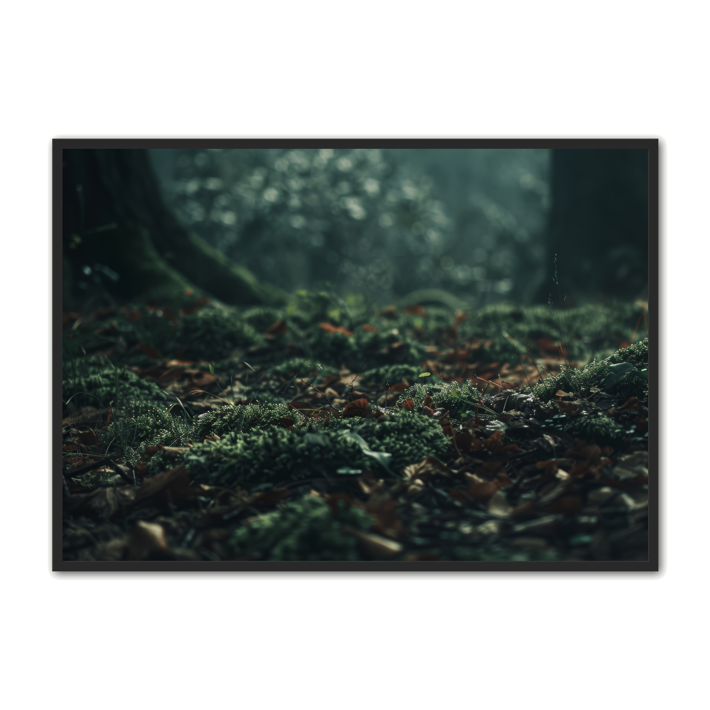 Skov Plakat 2 - Naturplakater