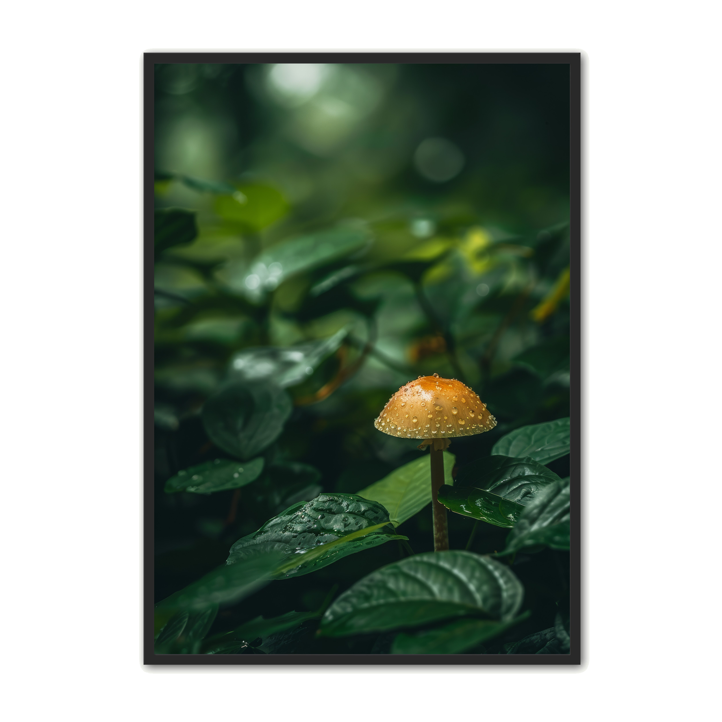 Svampe Plakat 46