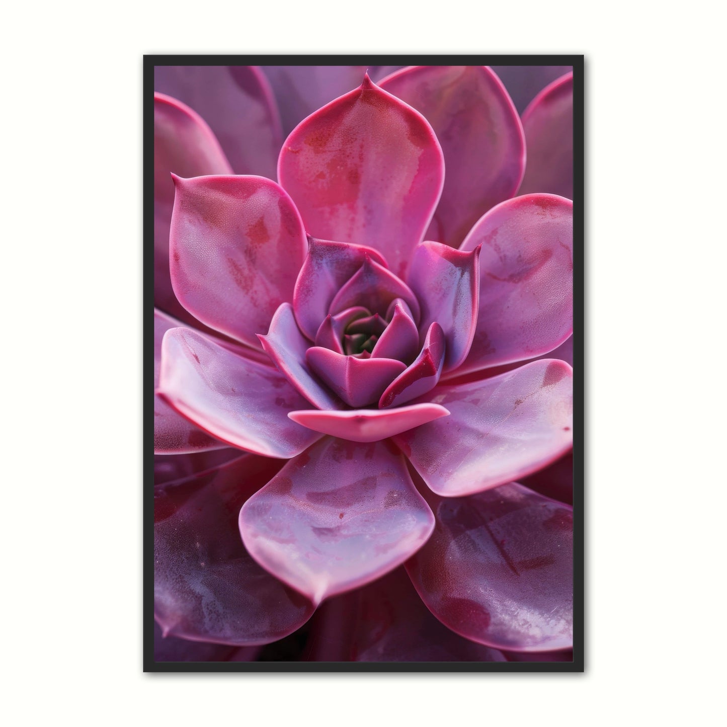 All Pink - Plakatsæt
