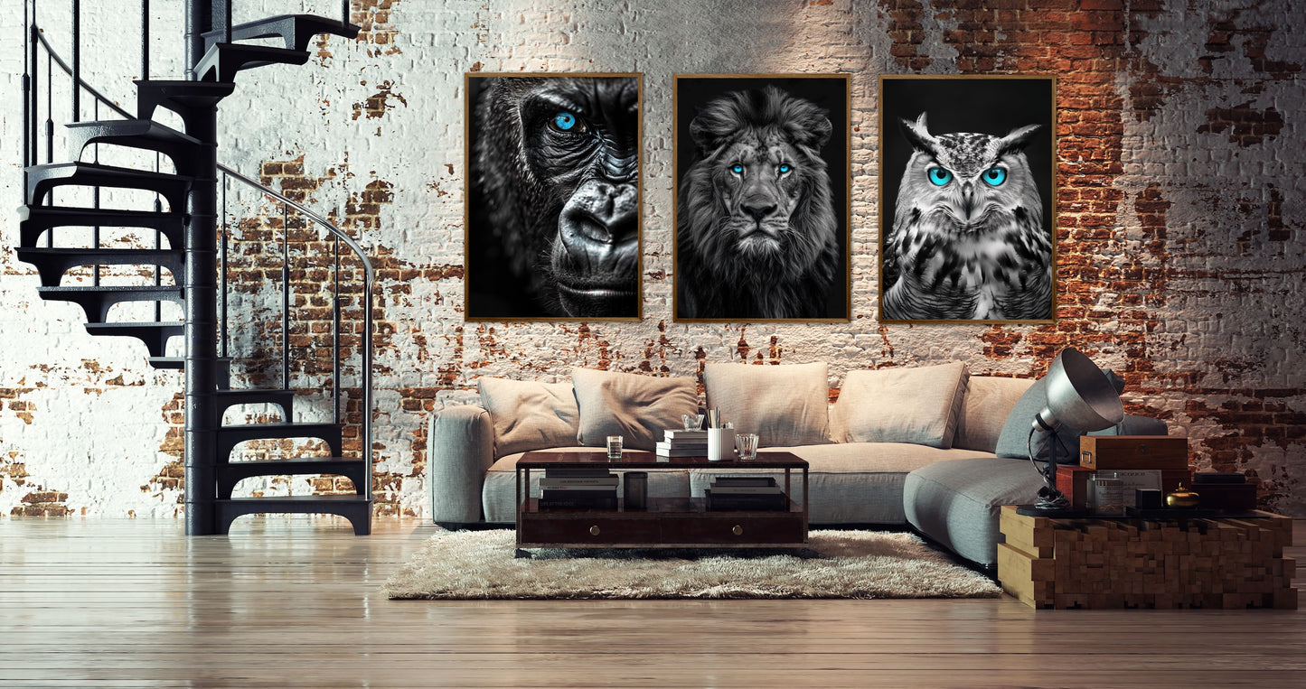 Blue Eyes Plakatsæt - Gorilla, Ugle og Løve