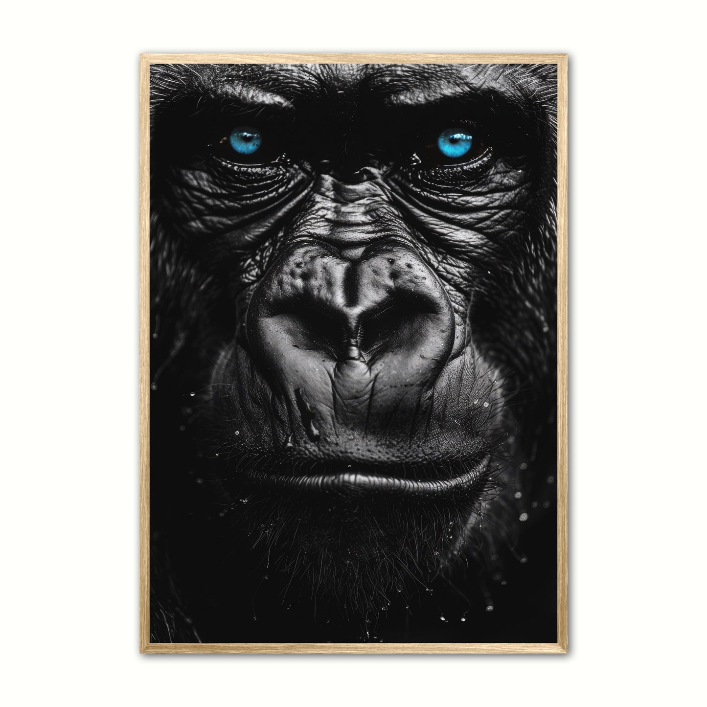 Blue Eyes 9 - Gorilla