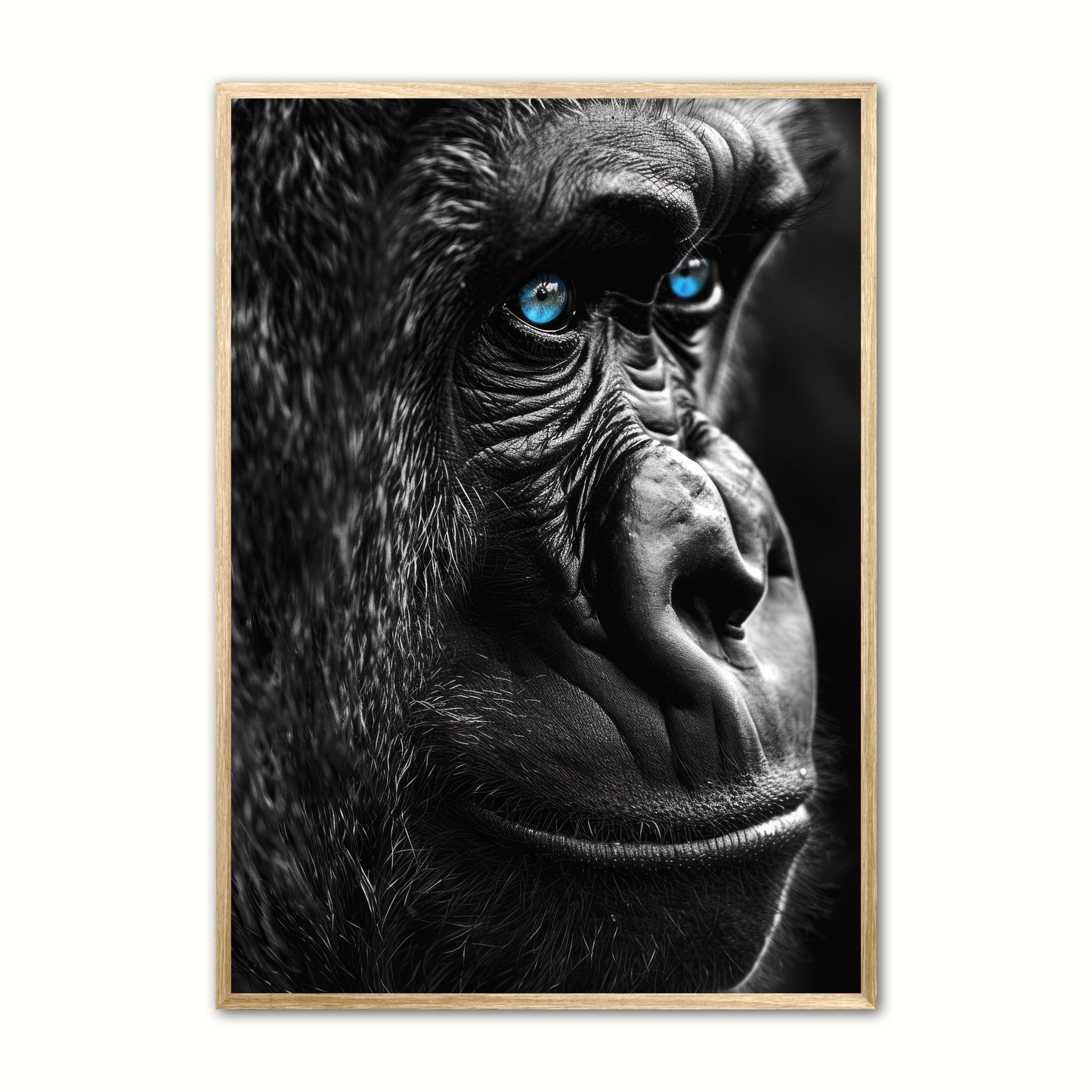 Blue Eyes 16 - Gorilla