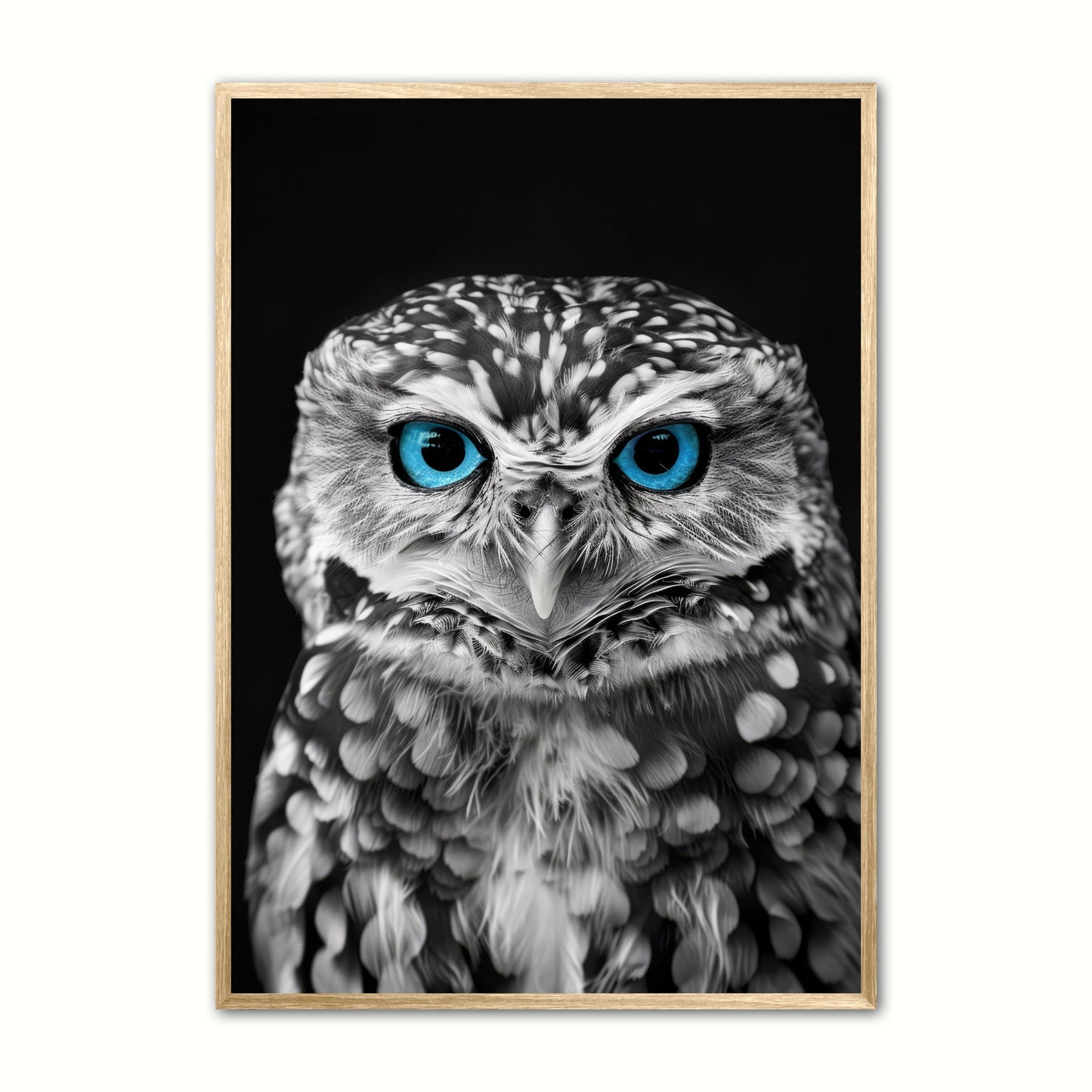 Blue Eyes 6 - Ugle
