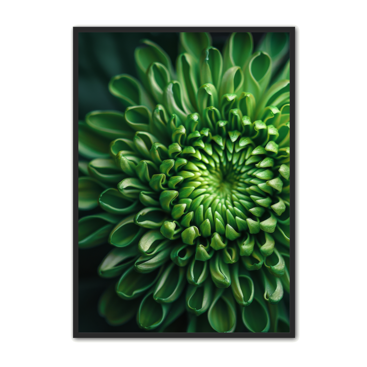 Blomster Plakat 161