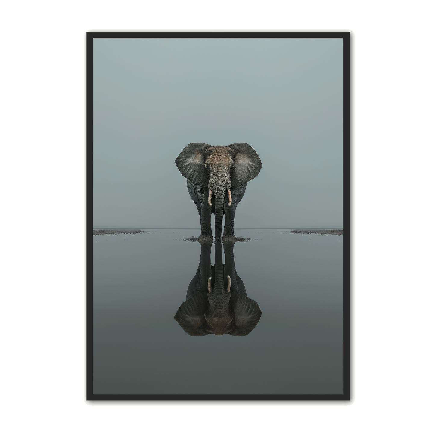 Elefant Plakat 12