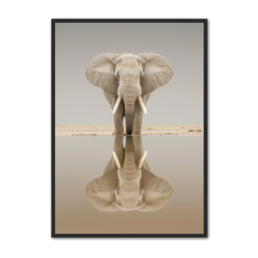 Elefant Plakat 8