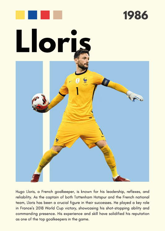 Fodbold Plakat 5 - Lloris