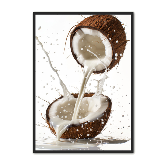 Frugt Plakat 48 - Kokosnød