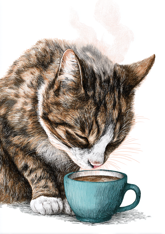 Kaffe Plakat 92 – Kat og kaffekop i stregtegning