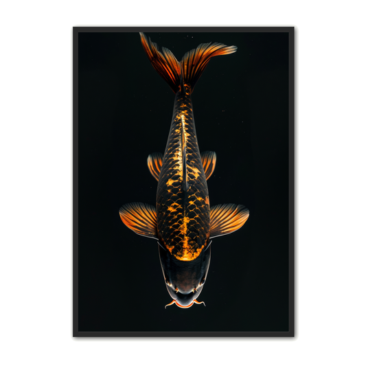 Koi Fisk Plakat 4