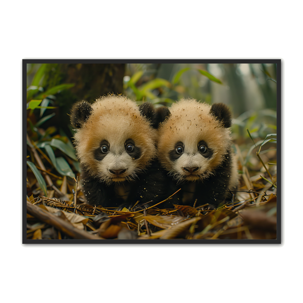 Billede af Panda Plakat 82 - Børneplakat