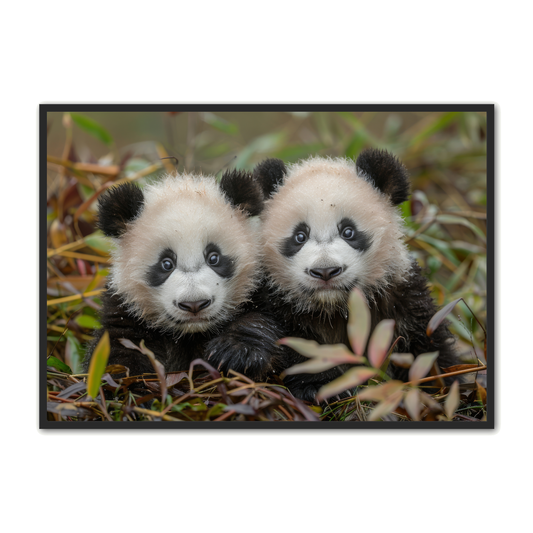 Panda Plakat 83 - Børneplakat