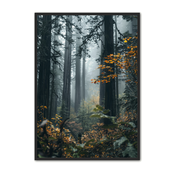 Skov Plakat 20 - Naturplakater