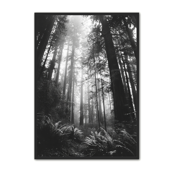 Skov Plakat 21 - Naturplakater