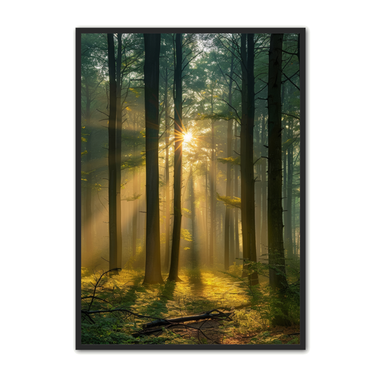 Skov Plakat 34 - Naturplakater