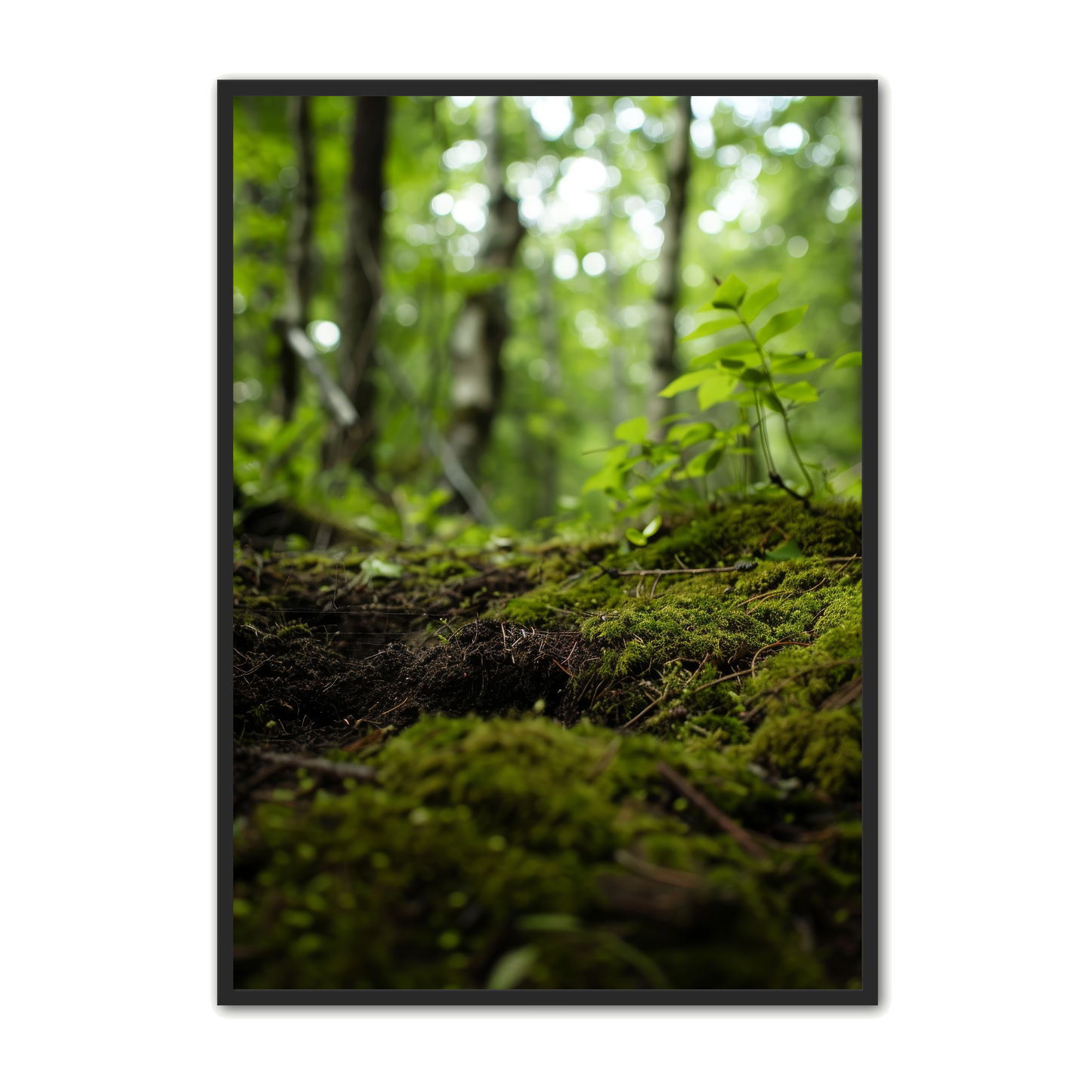 Skov Plakat 4 - Naturplakater