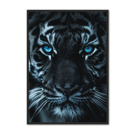 Tiger Plakat 2 - Dyreplakater