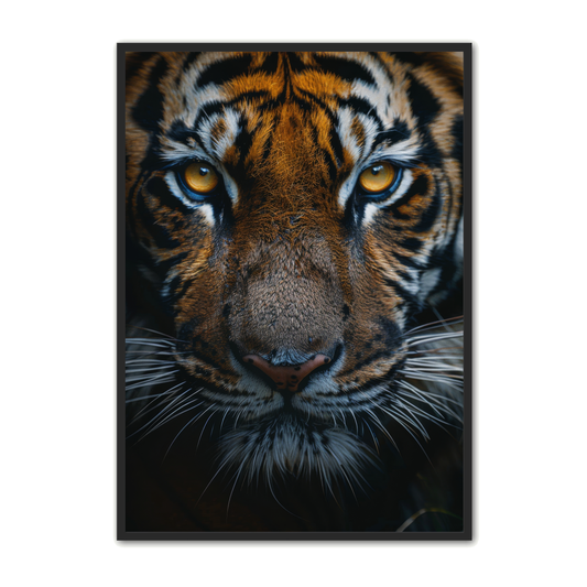 Tiger Plakat 4 - Dyreplakater