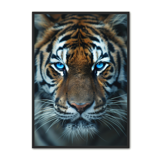 Tiger Plakat 5 - Dyreplakater