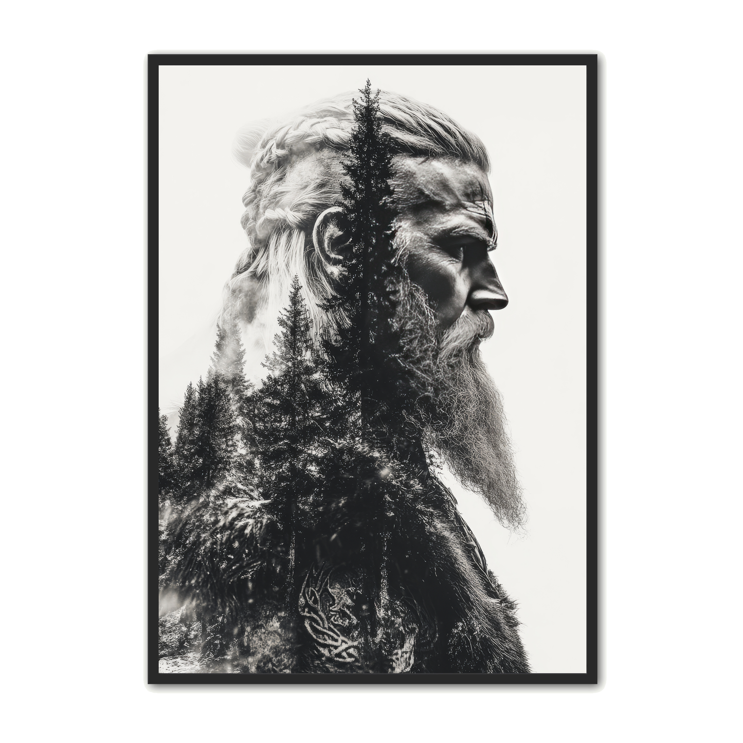 Viking Plakat 4 - Nordisk Arv