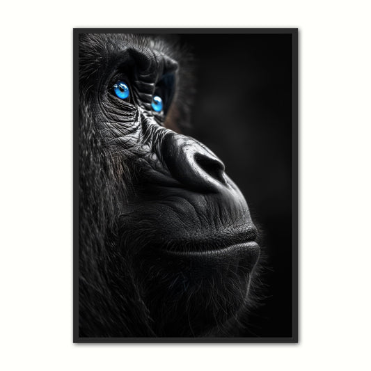 Blue Eyes 20 - Gorilla