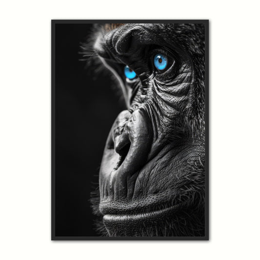 Blue Eyes 10 - Gorilla