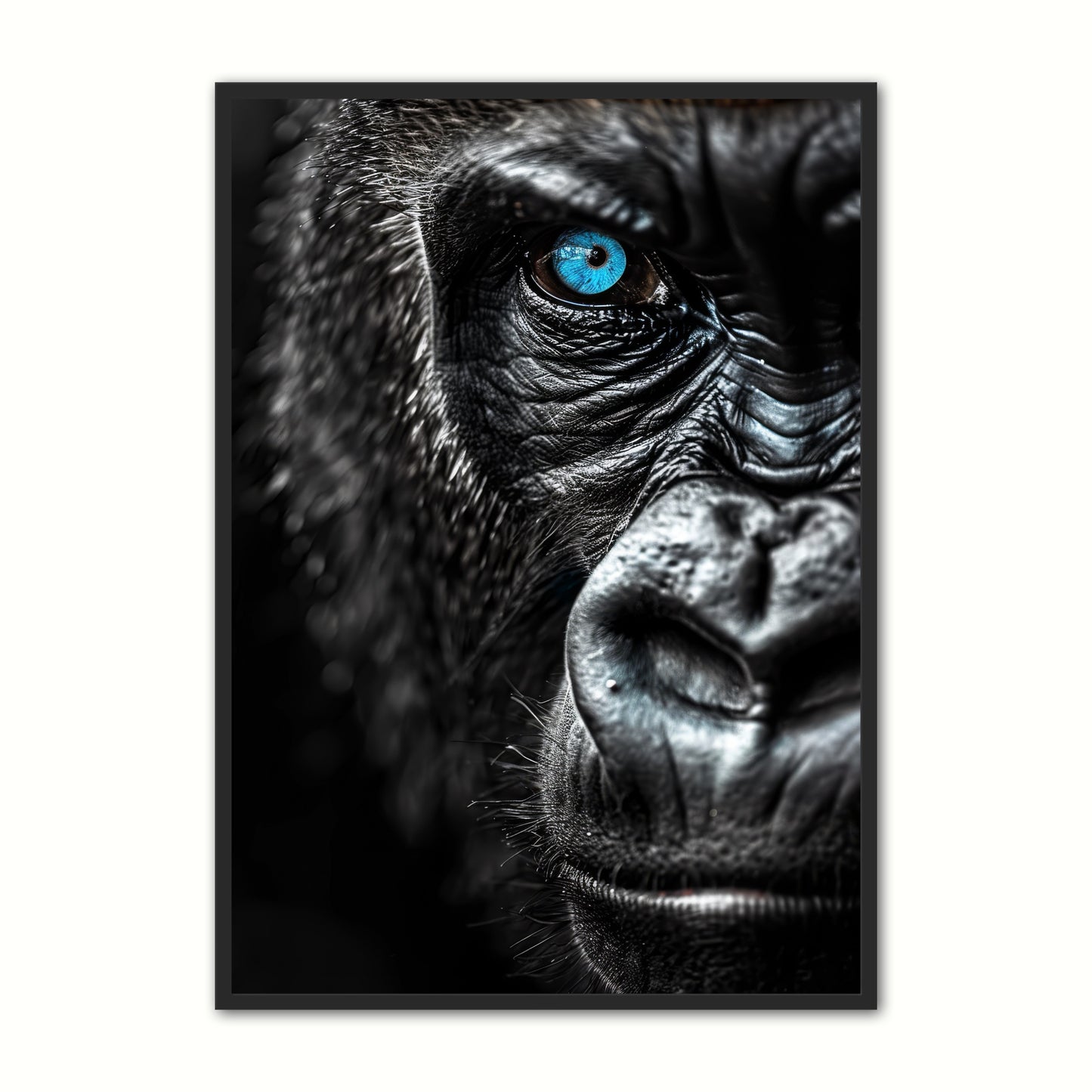 Blue Eyes 1 - Gorilla