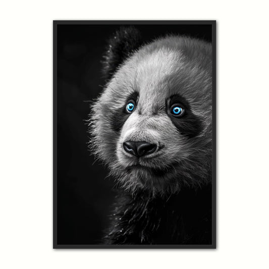Blue Eyes 18 - Panda