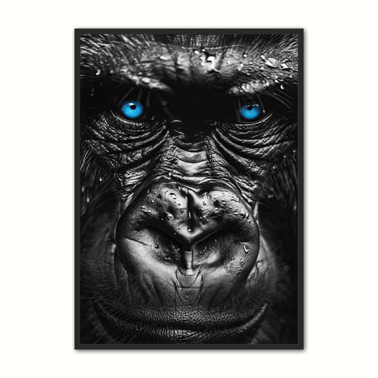 Blue Eyes 17 - Gorilla
